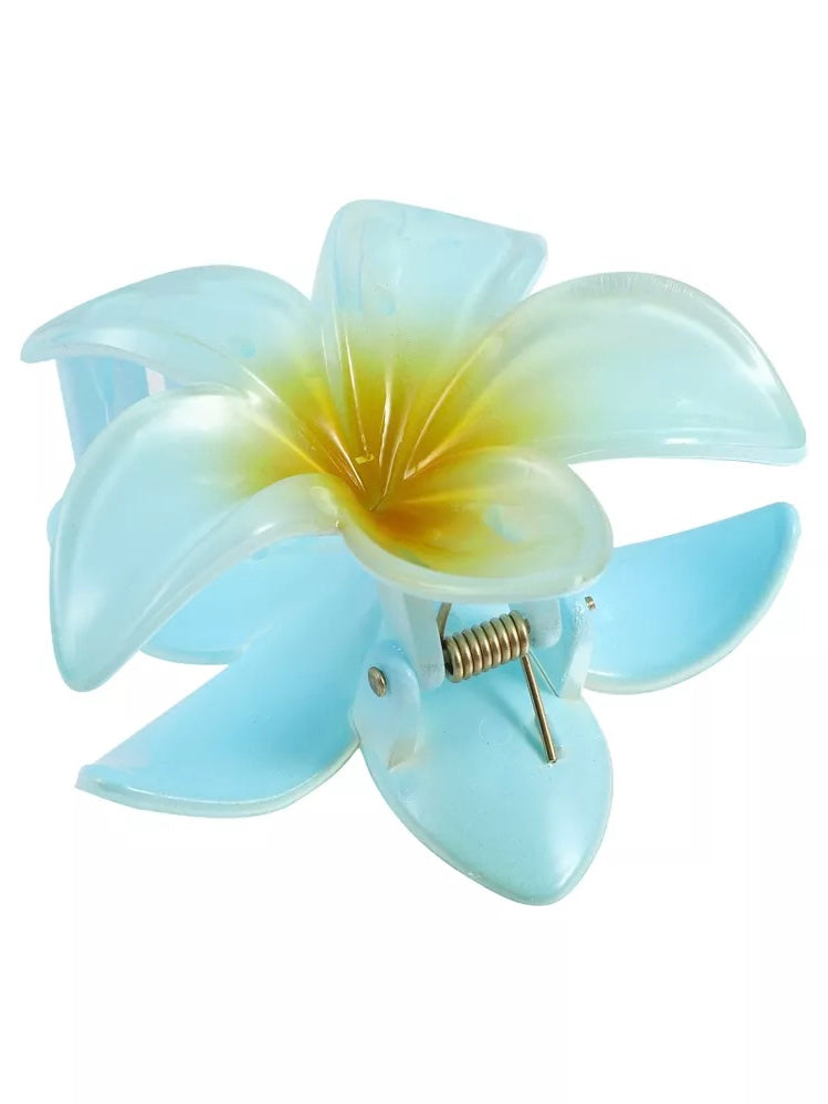 jinran 2024 New Gradient Flower Hair Clip