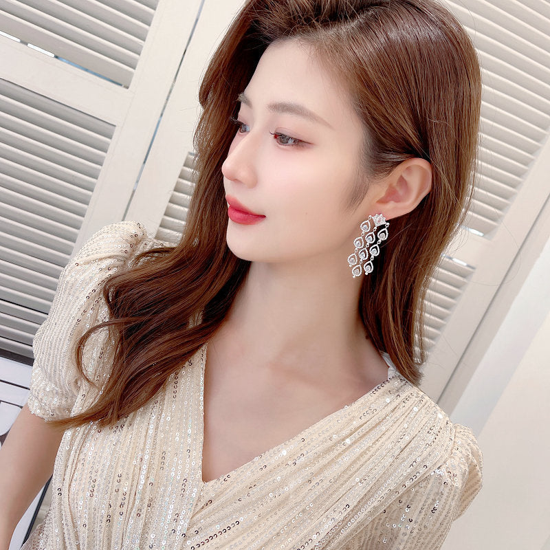 2025 Light luxury high-end water drop zircon fringed earrings femininity elegant bridal banquet dress versatile fashion earrings