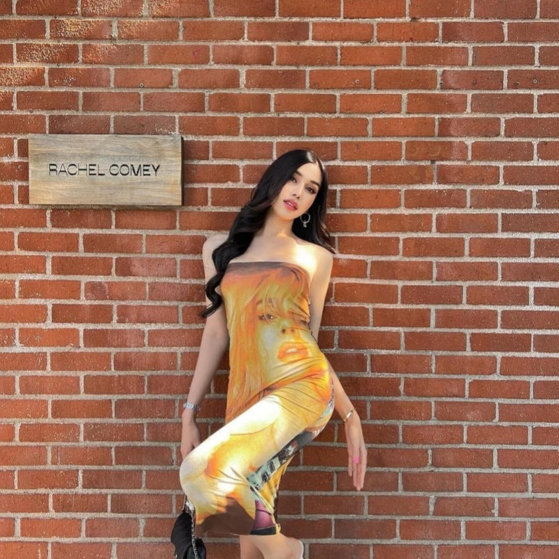 jinran calico hair Dress Summer Women's Double-Sided Portrait Print Hot Girl Tube Top Slim-Fit Sheath Dopamine Wear Dress Two-Way Wear