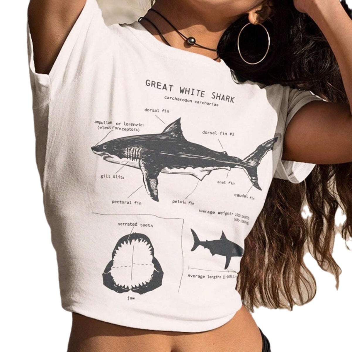 jinran shirt Women's Summer Casual T-shirt with Slogan and Shark Print round Neck T-shirt Women's Short Sleeve