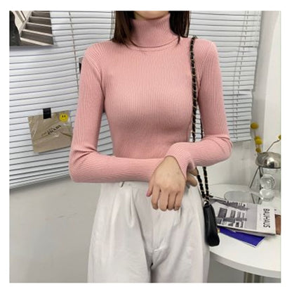 jinran Autumn Winter Korean Women Pullover Sweaters Slim Women Turtleneck Basic Tops Casual New Knitted Sweater Soft Warm Jumper 8069